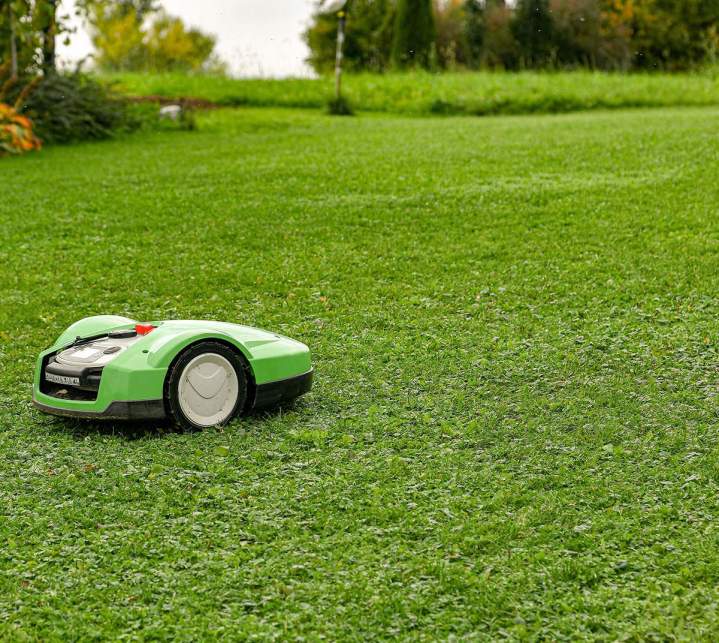Entretien de jardin Létra