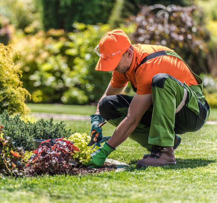 Création et entretien complet de jardins.
