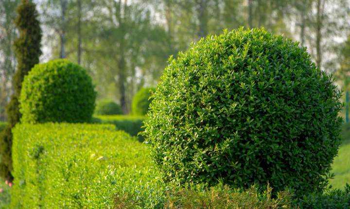 Aménagement jardin Létra