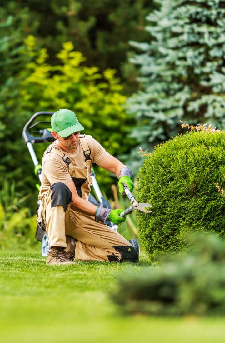 Service d'aménagement de jardin Létra