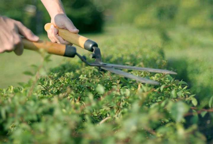 Entretien d'espaces verts Létra