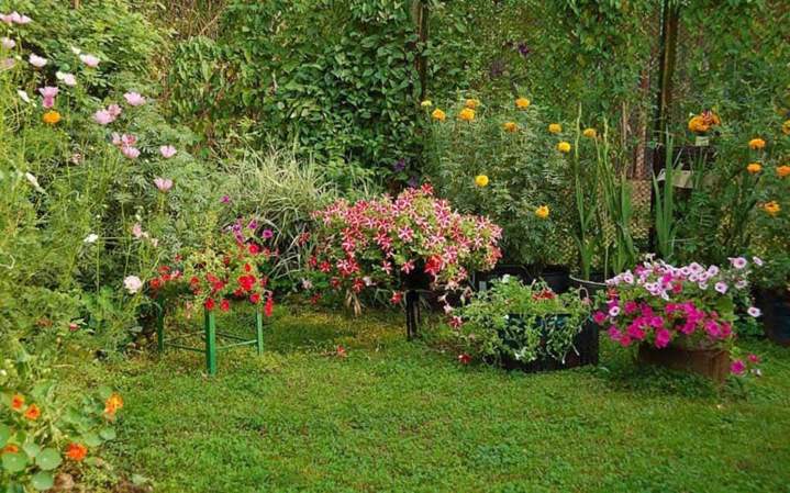Entretien de jardin Létra