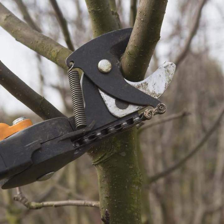 lagage et abattage d'arbre Létra